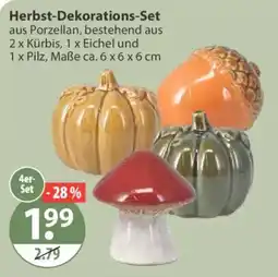V Markt Herbst-Dekorations-Set Angebot
