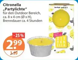 V Markt Citronella "Partylichte" Angebot