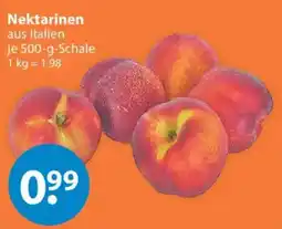 V Markt Nektarinen Angebot