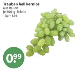 V Markt Trauben hell kernlos Angebot