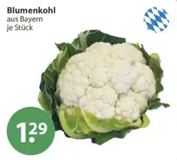 V Markt Blumenkohl aus Bayern Angebot