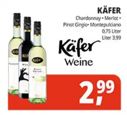 Hörl Getränke Käfer Weine Angebot