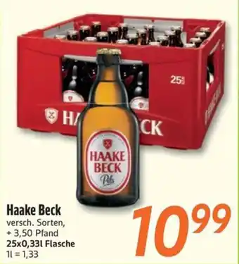 inkoop Haake Beck Angebot