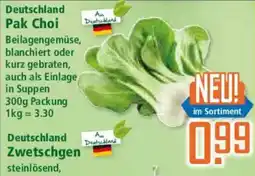 Klaas und Kock Deutschland Pak Choi Angebot