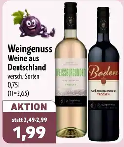 Aktiv Irma Weingenuss Weine aus Deutschland Angebot