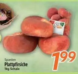 inkoop Plattpfirsiche Angebot