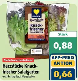 Aktiv Irma Herzstücke Knack-frischer Salatgarten Angebot