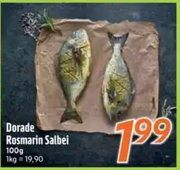 inkoop Dorade Rosmarin Salbei Angebot