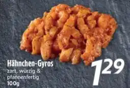 inkoop Hähnchen-Gyros Angebot