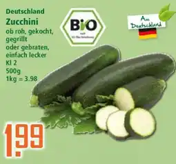 Klaas und Kock Deutschland Zucchini Angebot