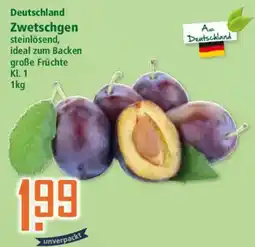 Klaas und Kock Zwetschgen Angebot