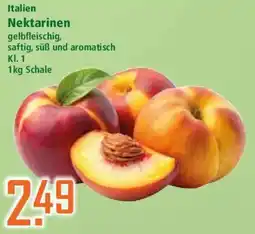Klaas und Kock Nektarinen Angebot