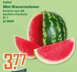 Klaas und Kock Mini-Wassermelonen Angebot