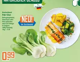 Klaas und Kock Deutschland Pak Choi Angebot