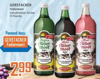 Klaas und Kock GERSTACKER Federmost Angebot