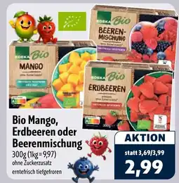 Aktiv Irma EDEKA Bio Erdbeeren Angebot