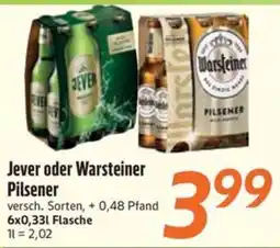 inkoop Jever oder Warsteiner Pilsener Angebot