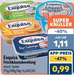 Aktiv Irma Exquisa Frischkäsezubereitung Angebot