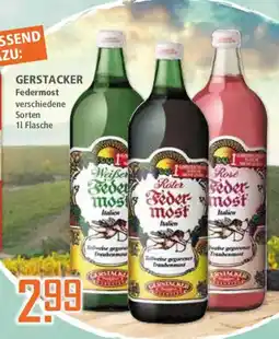 Klaas und Kock GERSTÄCKER Federmost Angebot