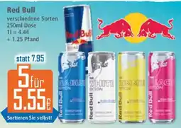 Klaas und Kock Red Bull Angebot