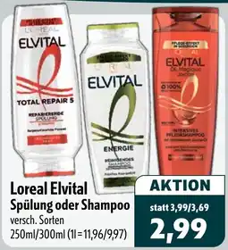 Aktiv Irma Loreal Elvital Spülung oder Shampoo Angebot