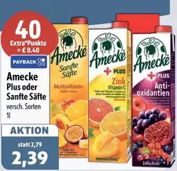 Aktiv Irma Amecke Sanfte Säfte Angebot