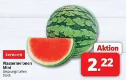 Markant Markt kernarm Wassermelonen Mini Angebot