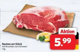 Markant Markt Nacken am Stück mit Knochen, vom Schwein Angebot