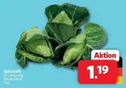 Markant Markt Spitzkohl Angebot