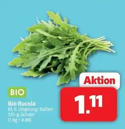 Markant Markt Bio Rucola Angebot