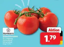Markant Markt HOFWERTE Strauchtomaten Angebot