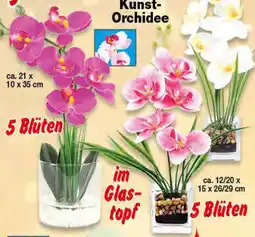 Krümet Sonderposten Kunst Orchidee Angebot