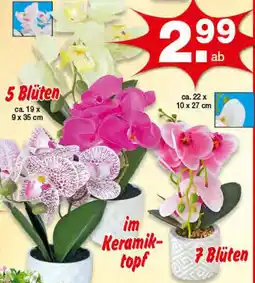 Krümet Sonderposten Kunst Orchidee Angebot