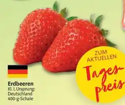 Markant Markt Erdbeeren Angebot