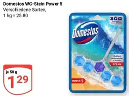 Globus Domestos WC-Stein Power 5 Angebot
