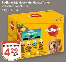 Globus Pedigree Multipack Hundenassfutter Angebot
