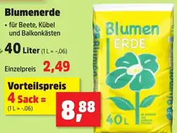 Thomas Philipps Blumenerde Angebot