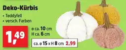 Thomas Philipps Deko-Kürbis Angebot