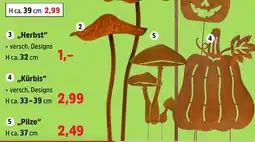Thomas Philipps „Herbst“ Angebot
