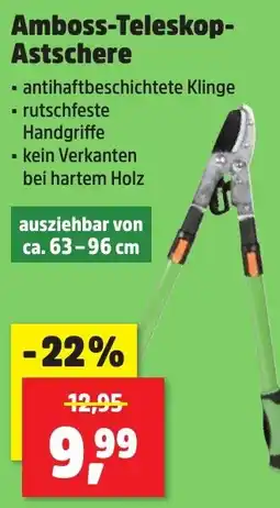 Thomas Philipps Amboss-Teleskop-Atschere Angebot