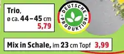 Thomas Philipps Trio Angebot