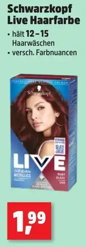 Thomas Philipps Schwarzkopf Live Haarfarbe Angebot