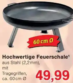Wiglo Wunderland Hochwertige Feuerschale Angebot