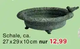 Wiglo Wunderland Schale Angebot
