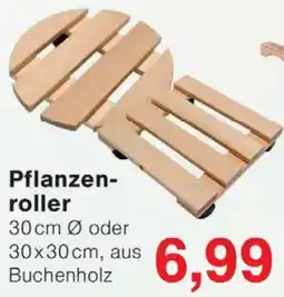 Wiglo Wunderland Pflanzenroller Angebot