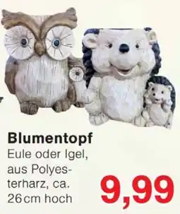 Wiglo Wunderland Blumentopf Eule oder Igel Angebot