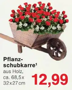 Wiglo Wunderland Pflanzschubkarre aus Holz Angebot