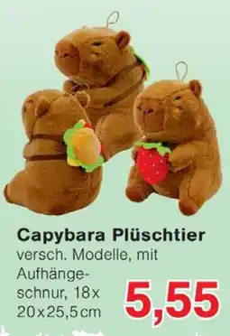 Wiglo Wunderland Capybara Plüschtier Angebot