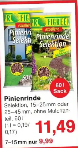 Wiglo Wunderland PROFIGREEN Pinienrinde Selektion Angebot