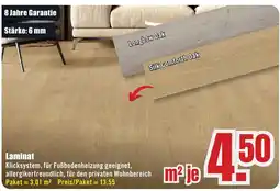B1 Discount Baumarkt Laminat Angebot